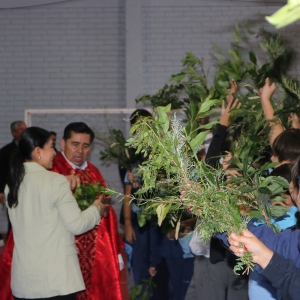 Celebración de Ramos